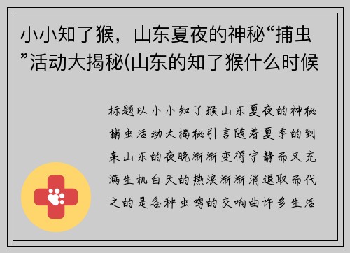 小小知了猴，山东夏夜的神秘“捕虫”活动大揭秘(山东的知了猴什么时候出来)